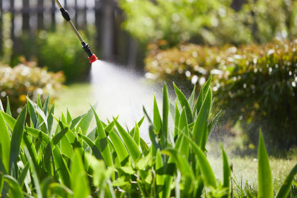 Void Injection for Cockroach Colonies in Interlachen