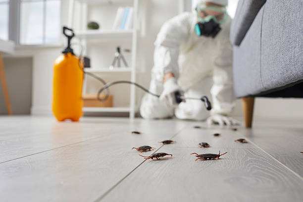 Commercial Kitchen Cockroach Control in Interlachen